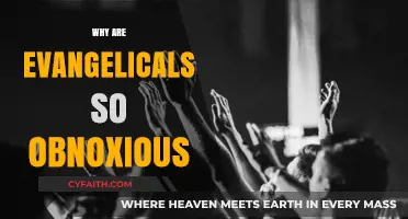 Understanding Evangelical Behavior: A Critical Perspective