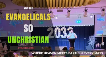Unraveling the Paradox: Evangelicals and the Christian Identity Crisis