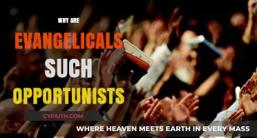 Evangelicals and Opportunism: A Critical Examination of Motivations
