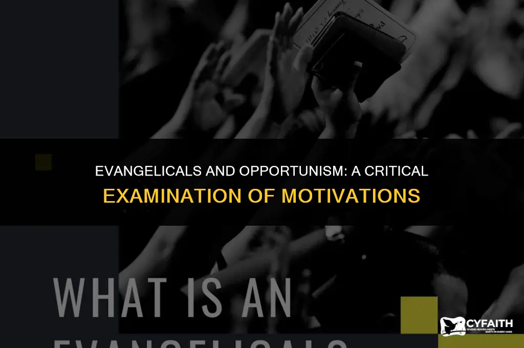 why are evangelicals such opportunists