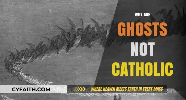 Why Ghosts Don't Follow Catholic Doctrine: Exploring the Afterlife Divide