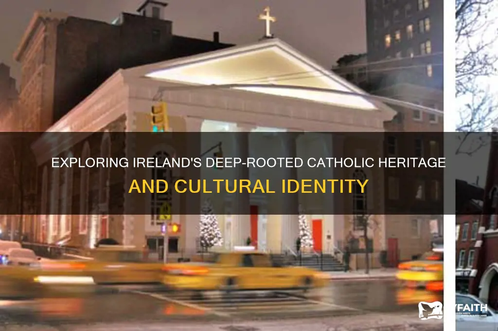 why are irish catholic