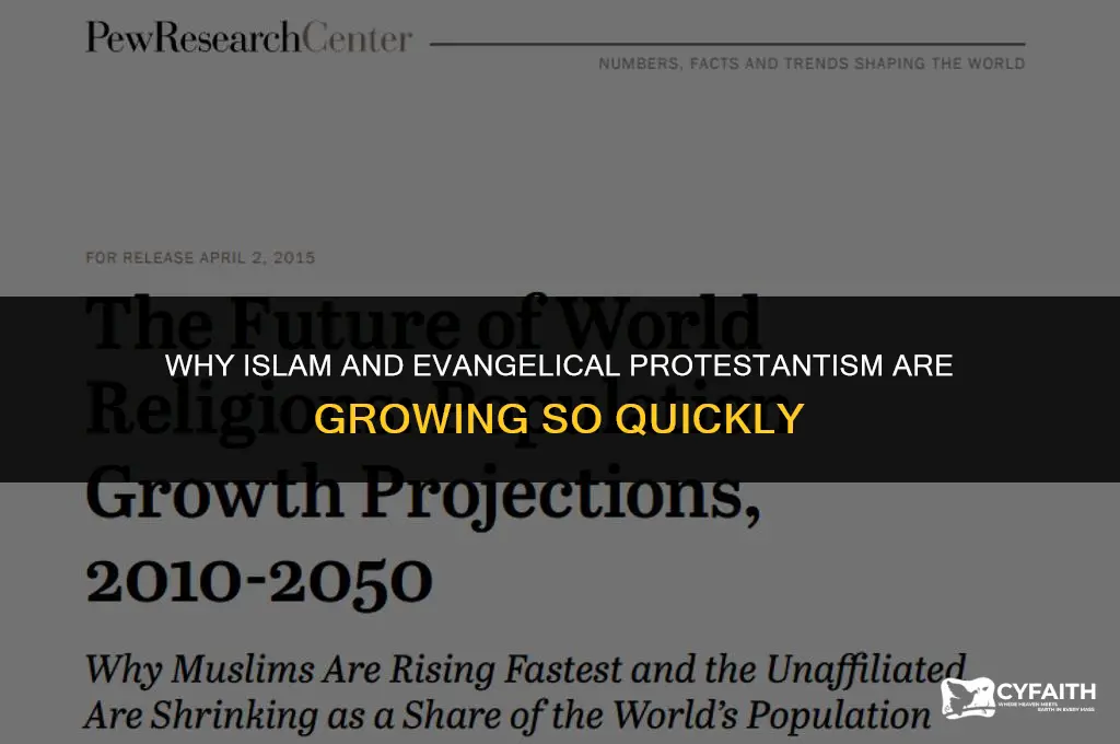 why are islam and evangelical protestantism spreading so rapidly