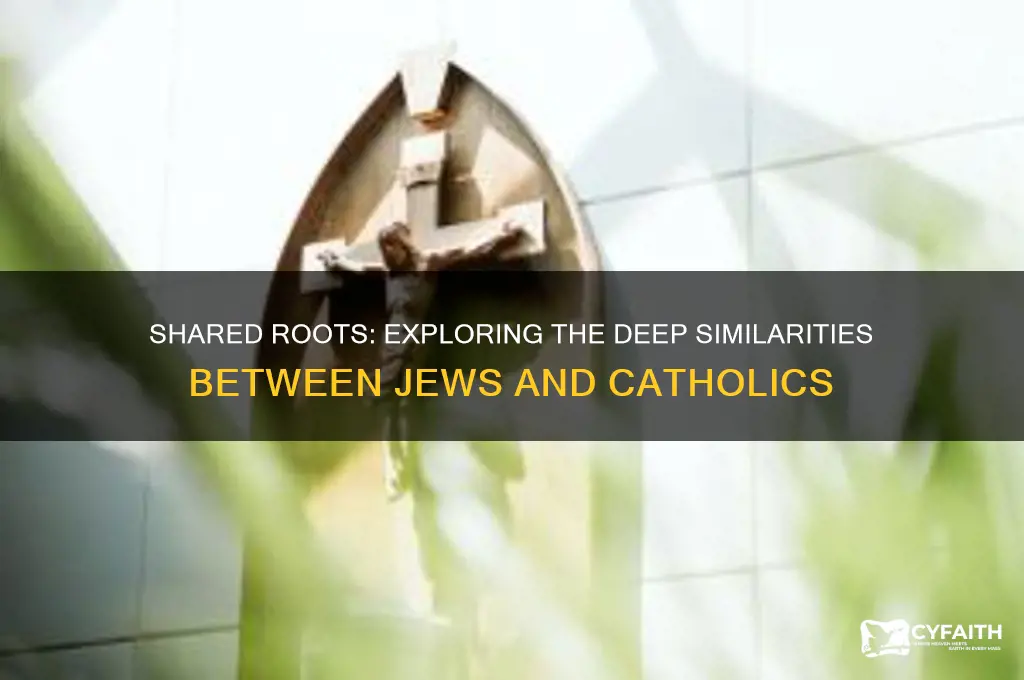 why are jews and catholics so similar