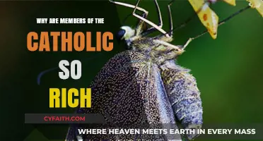 Exploring the Wealth of Catholic Elites: Historical and Modern Insights