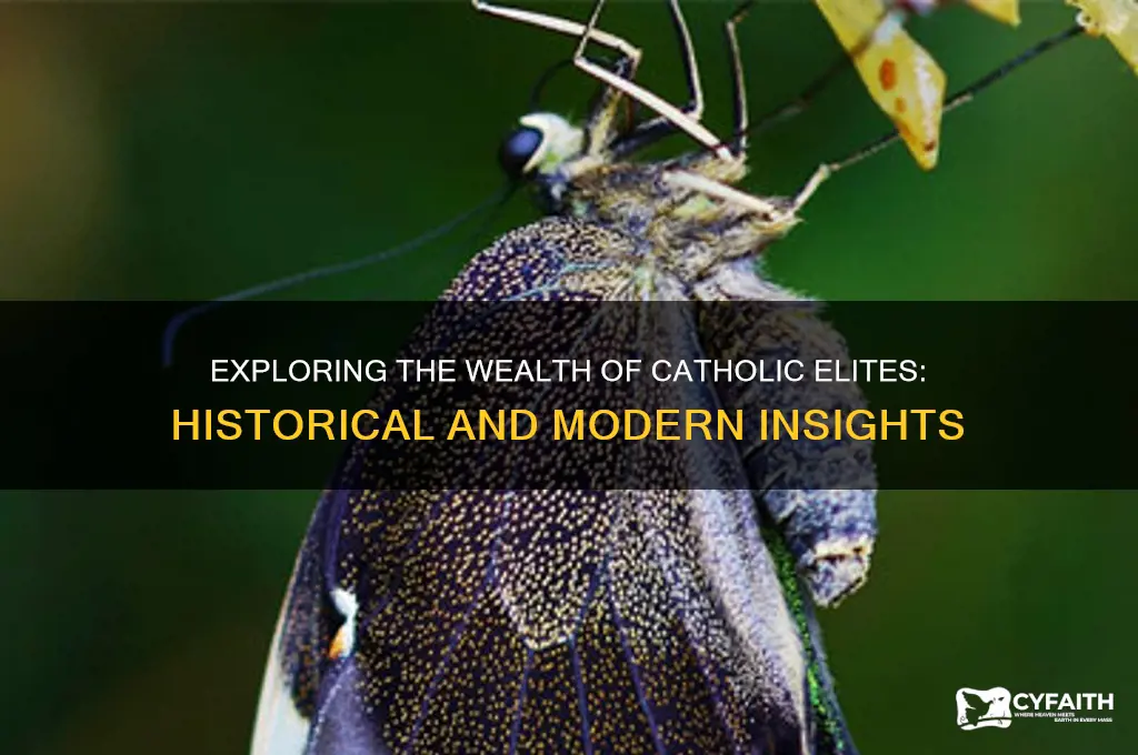 why are members of the catholic so rich