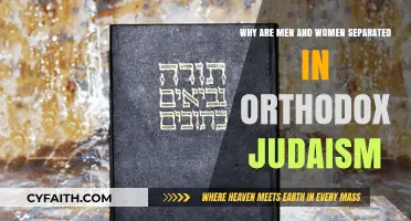 Gender Separation in Orthodox Judaism: Traditions, Roles, and Spiritual Significance