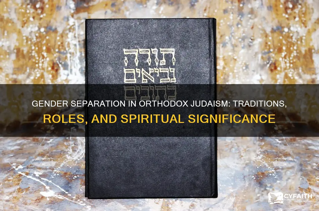 why are men and women separated in orthodox judaism