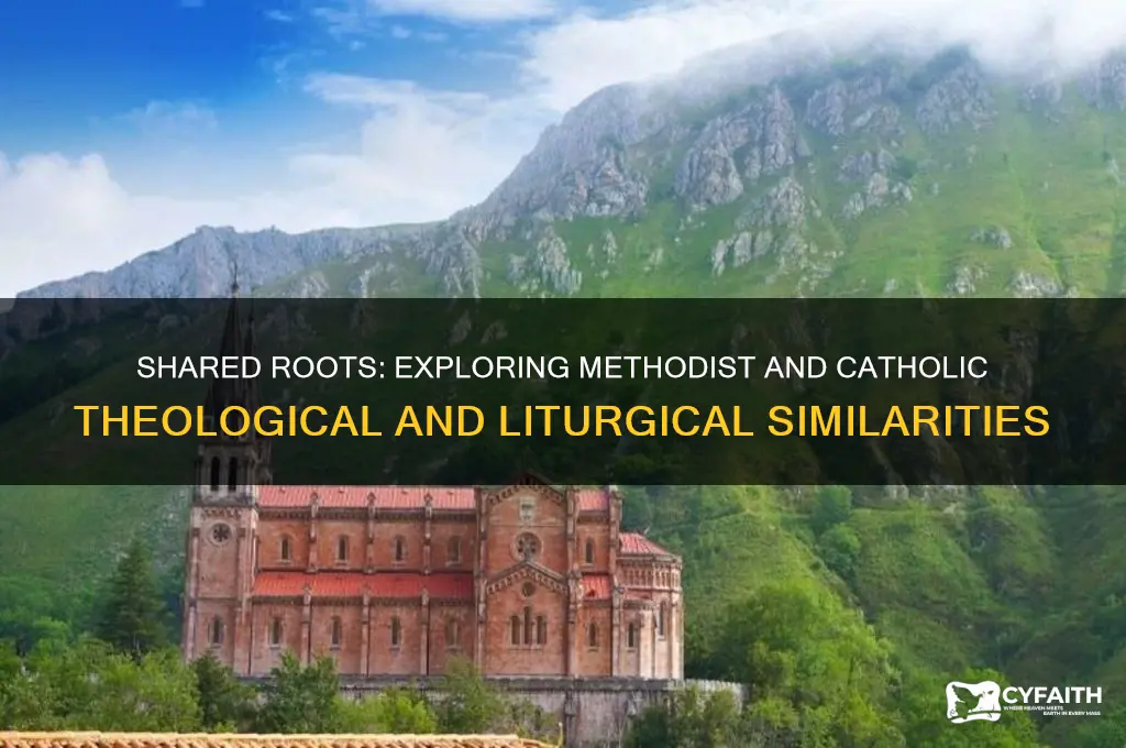 why are methodist similar to catholic