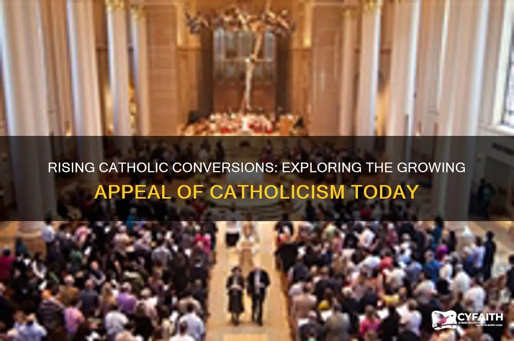 why are more people becoming catholic