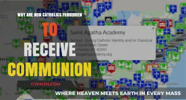 Non-Catholics and Communion: Understanding the Church's Sacred Boundaries