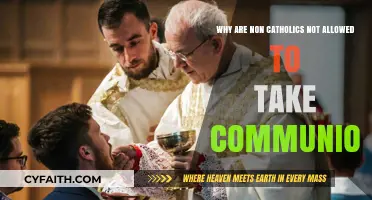 Understanding the Catholic Communion Restrictions for Non-Catholics
