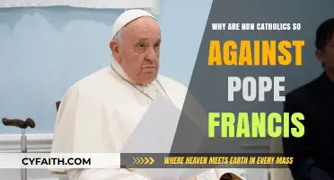Why Non-Catholics Criticize Pope Francis: Divisive Policies Explained
