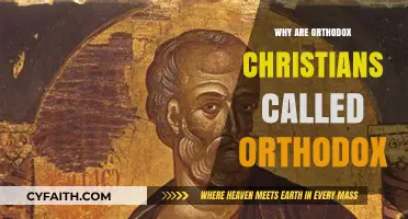 Understanding the Origins of the 'Orthodox' Label in Christianity