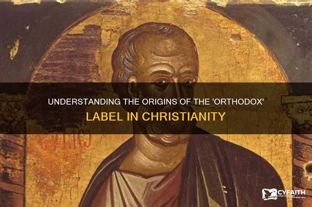 why are orthodox christians called orthodox