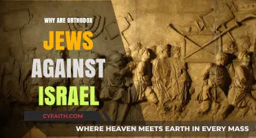 Orthodox Jewish Opposition to Israel: Historical and Theological Perspectives