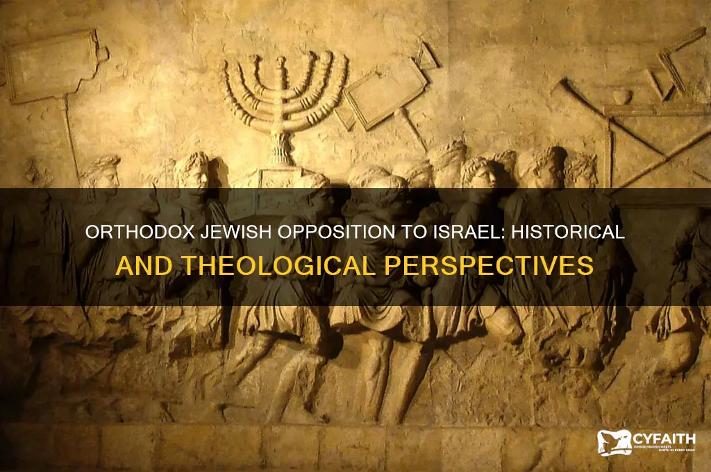 why are orthodox jews against israel