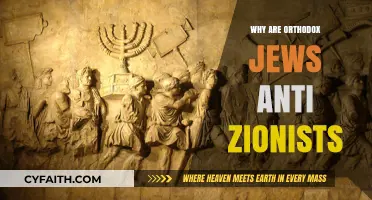 Orthodox Jews and Anti-Zionism: Historical, Religious, and Political Perspectives