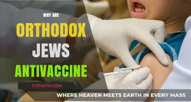 Orthodox Jewish Vaccine Hesitancy: Exploring Cultural and Religious Perspectives