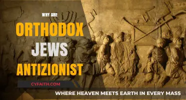 Orthodox Jewish Anti-Zionism: Historical, Religious, and Political Perspectives