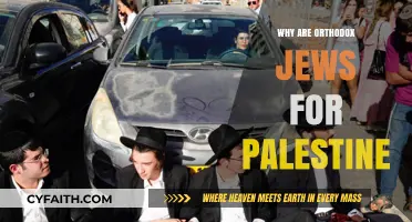 Orthodox Jews Supporting Palestine: Uniting Faith, Justice, and Solidarity