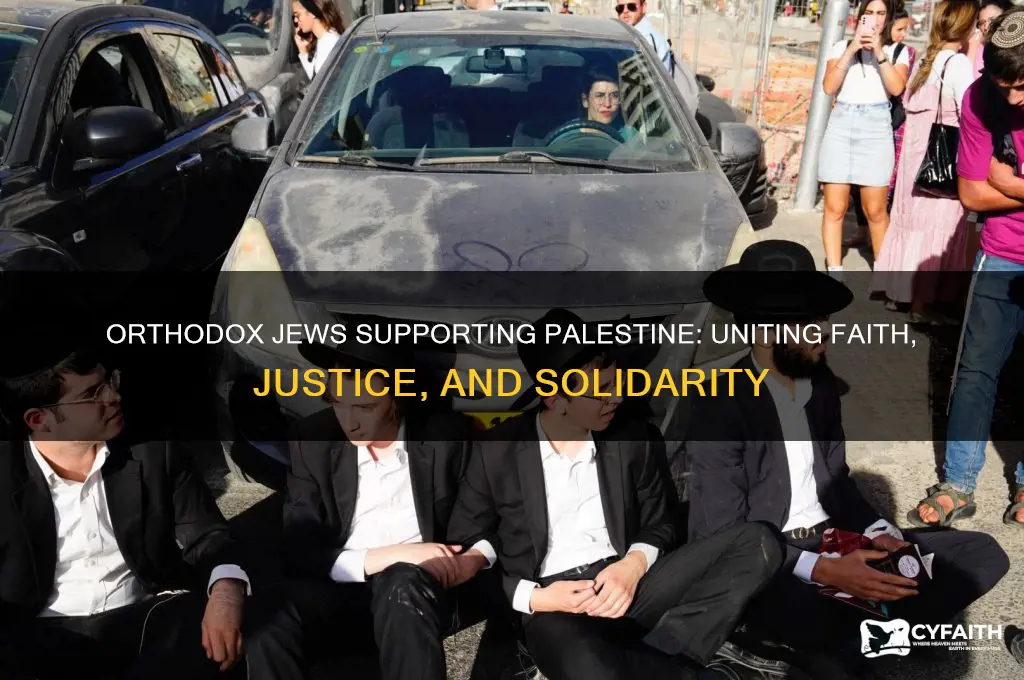 why are orthodox jews for palestine