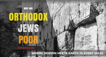 Understanding Orthodox Jewish Poverty: Cultural, Religious, and Economic Factors