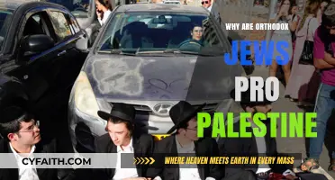 Orthodox Jews Supporting Palestine: Unraveling the Surprising Solidarity