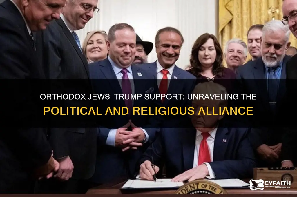 why are orthodox jews pro trump