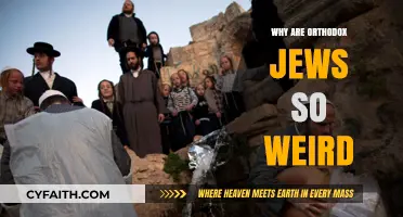 Understanding Orthodox Jewish Practices: Unraveling Cultural Misconceptions and Traditions