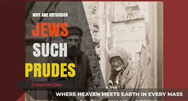 Orthodox Jewish Modesty: Understanding Cultural Values and Misconceptions
