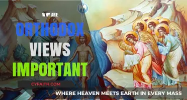 Why Orthodox Views Matter: Preserving Tradition in a Changing World