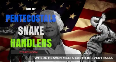 Exploring the Controversial Practice of Snake Handling in Pentecostalism
