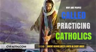 Practicing Catholics: Understanding the Faith and Ongoing Spiritual Journey