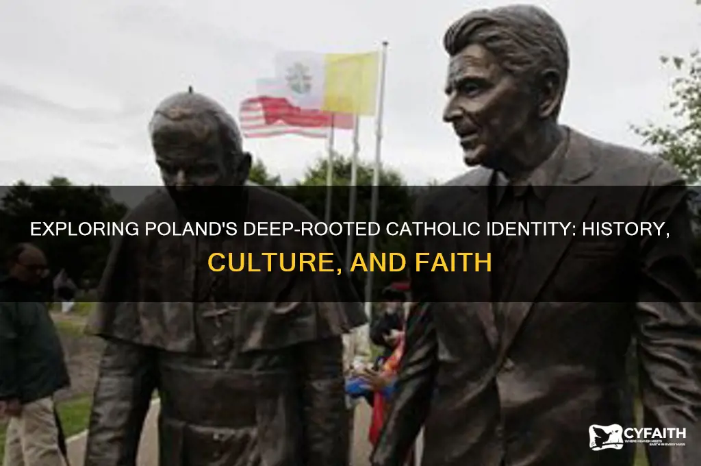why are polish catholic