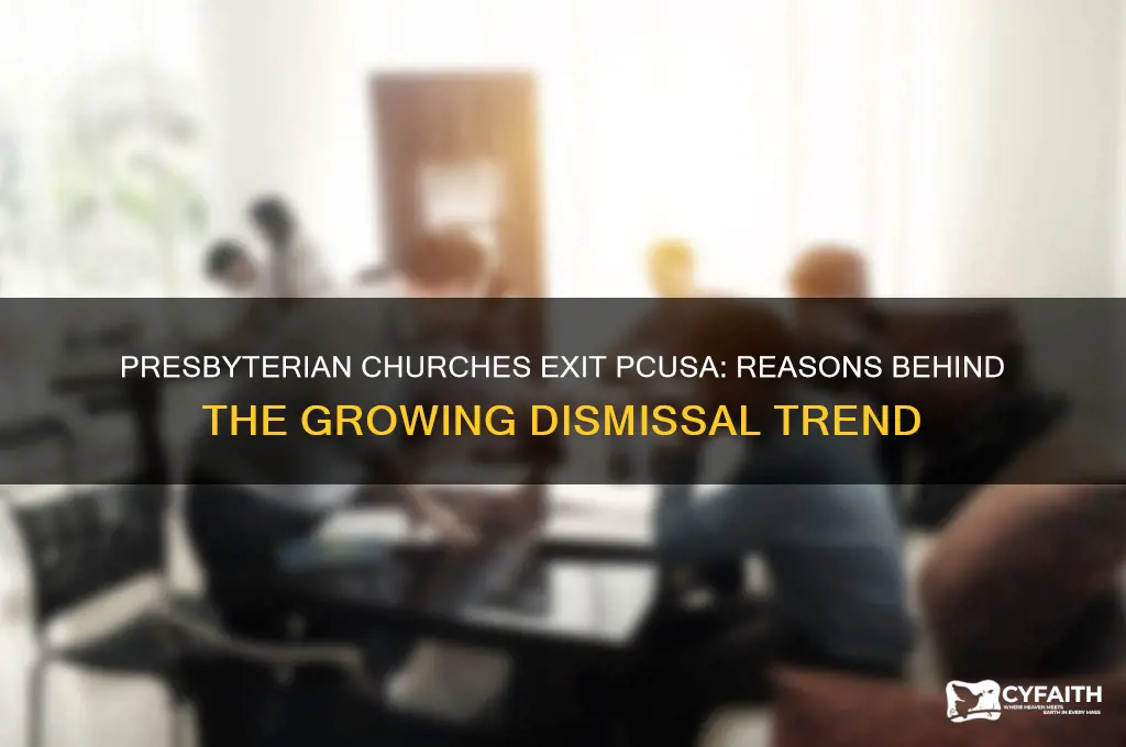 why are presbyterian churches seeking dismissal from pcusa