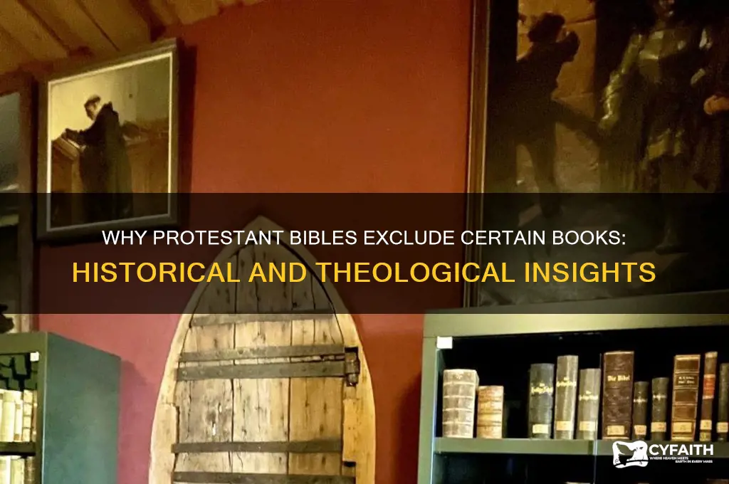 why are protestant bibles missing books