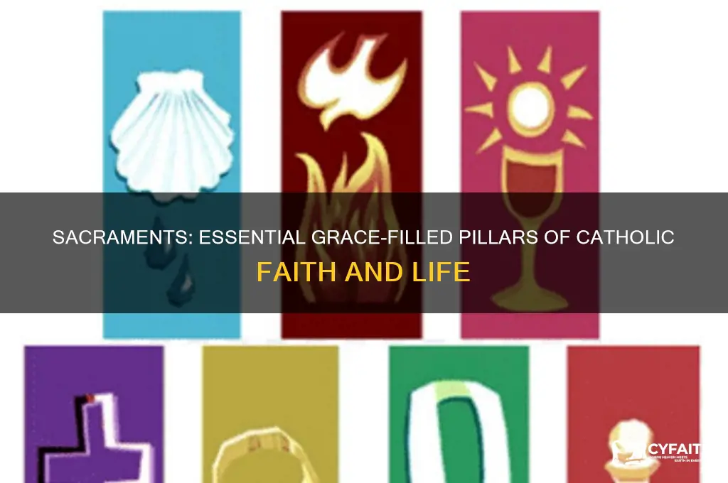 why are sacraments important in catholic life