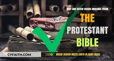 Missing Scriptures: Understanding the Protestant Bible's Seven Omitted Books