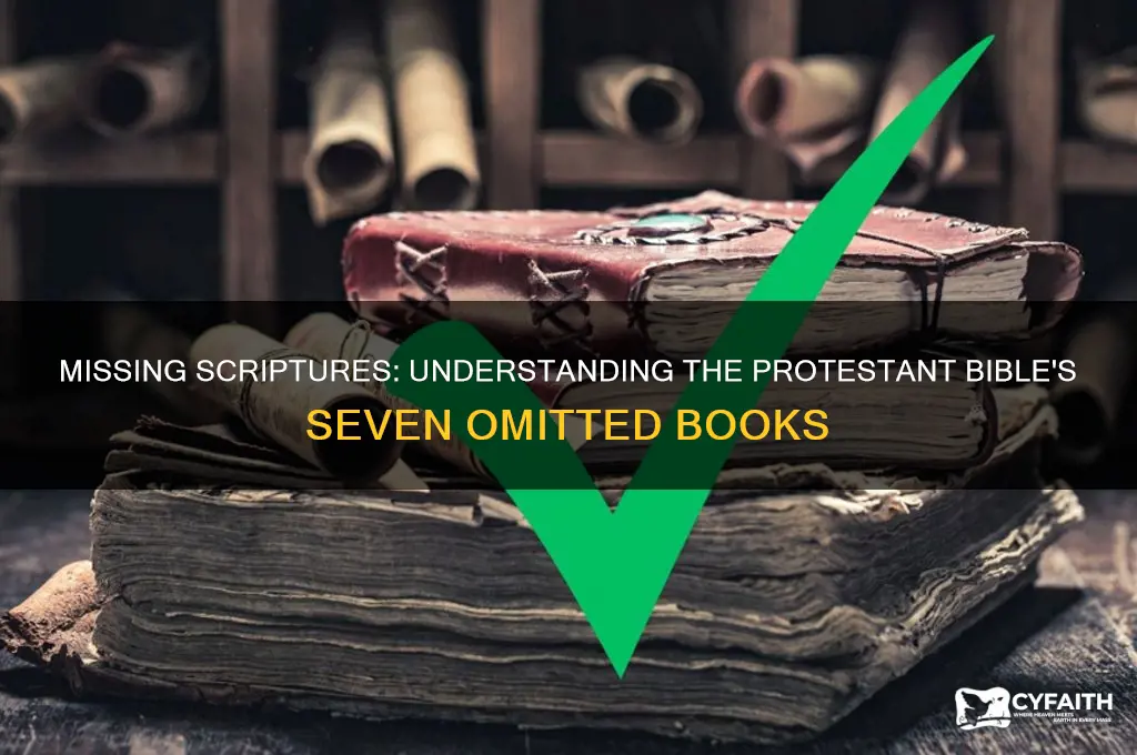 why are seven books missing from the protestant bible