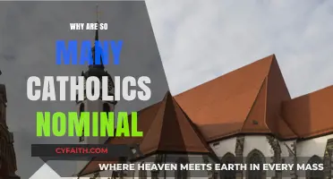 Why Many Catholics Remain Nominal: Exploring Faith and Identity