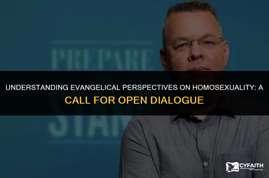 why are so many evangelicals closed-minded about homosexuality
