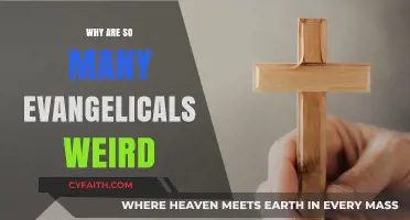 Unraveling the Enigma: Understanding Evangelical Christianity's Peculiarities