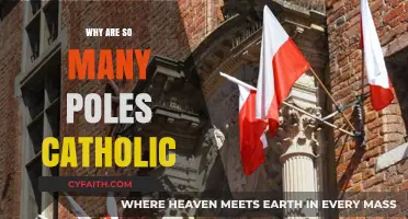 Poland's Catholic Roots: Exploring the Nation's Deep Religious Identity
