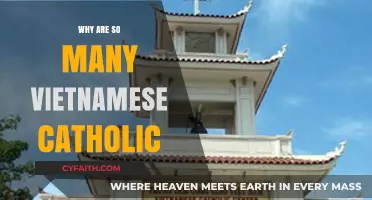 Exploring Vietnam's Catholic Roots: A Historical and Cultural Perspective