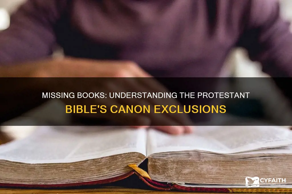 why are some books not in the protestant bible