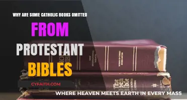 Why Protestant Bibles Exclude Catholic Deuterocanonical Books: Key Differences Explained