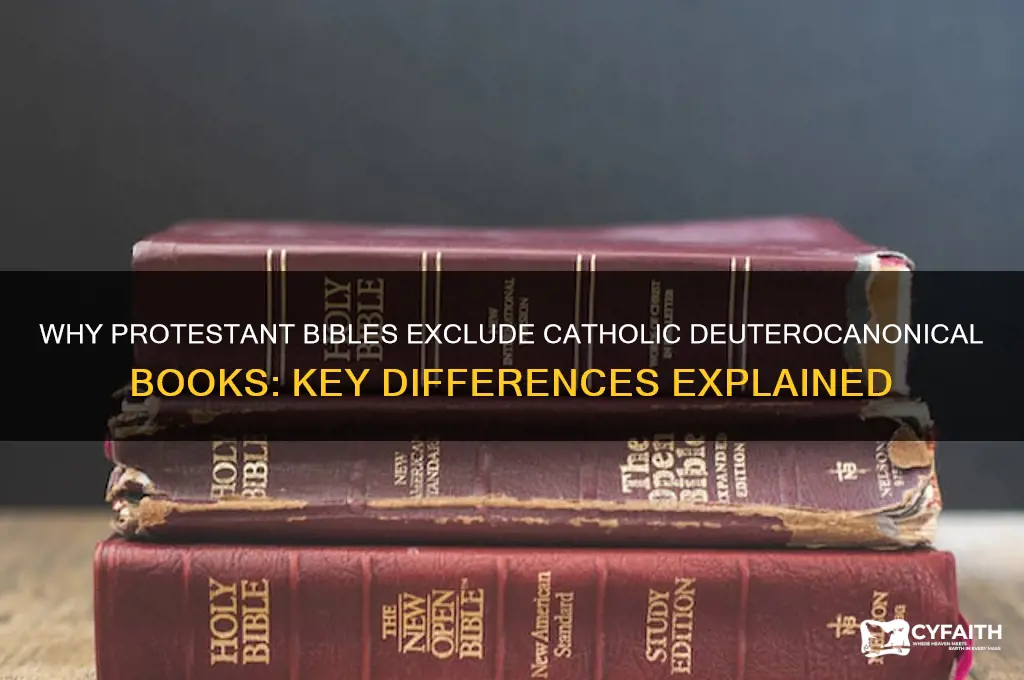 why are some catholic books omitted from protestant bibles