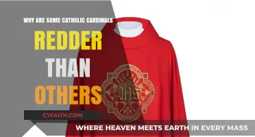 Why Some Catholic Cardinals Wear Redder Shades Than Others