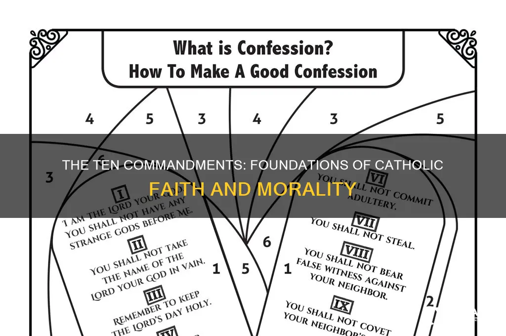 why are the 10 commandments important to catholics